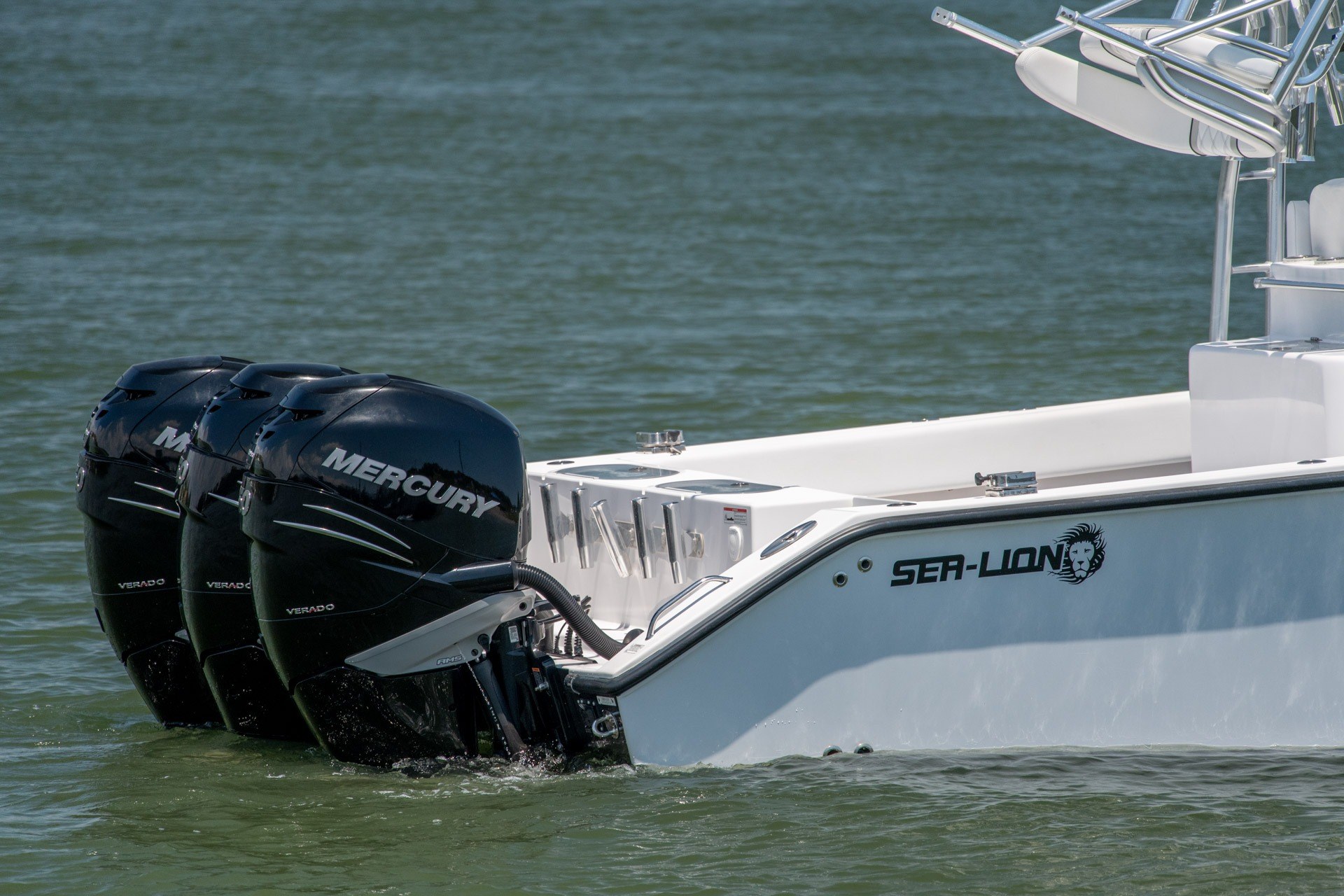 2022 Sea-Lion 34 TE - thumbnail 2