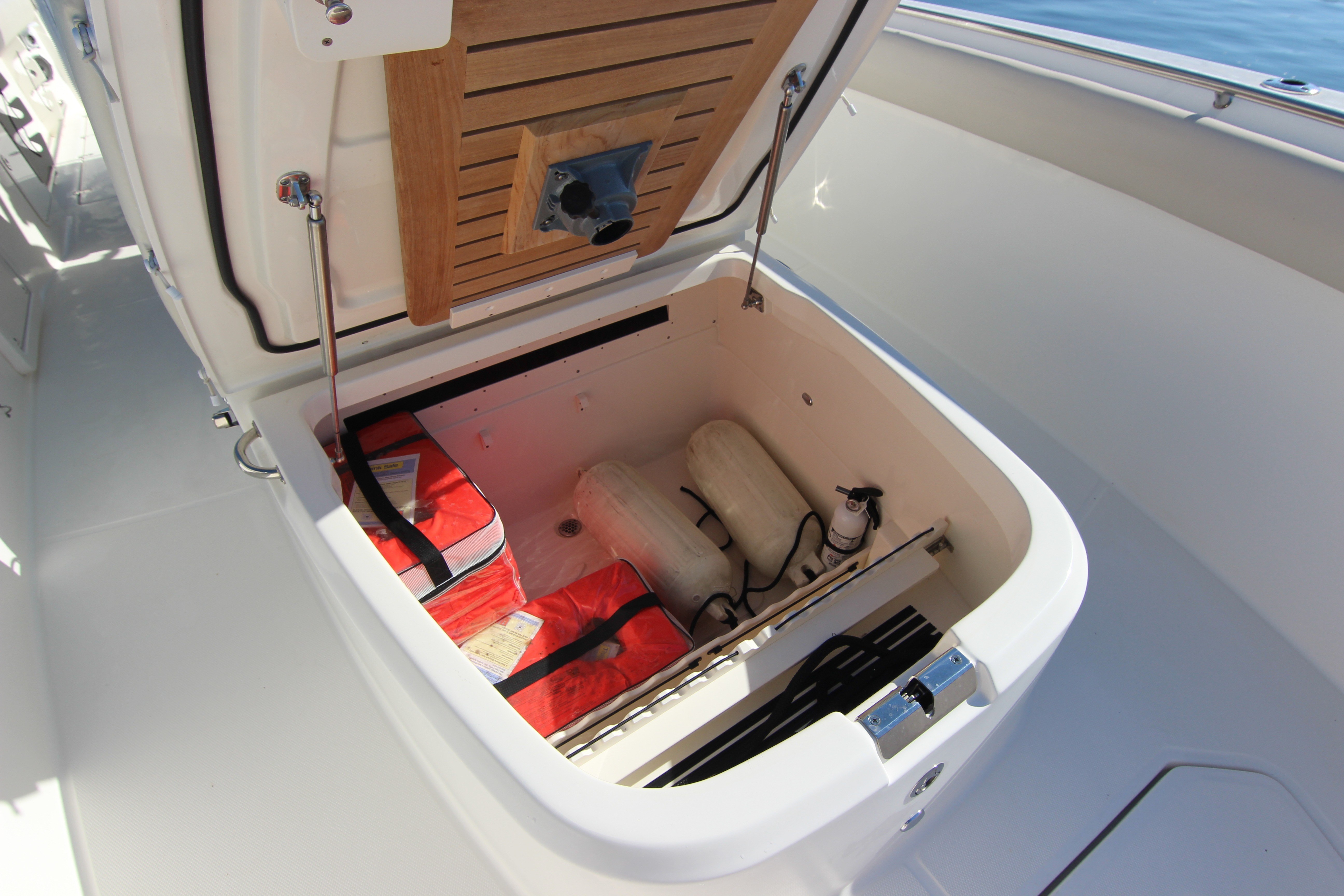 2021 Boston Whaler 330 Outrage - thumbnail 24